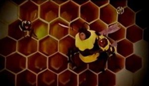 Poster for Baby Bear is Afraid of Bees