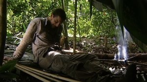 Poster for Costa Rican Rain Forest