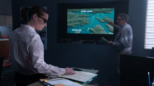 Poster for Dream Flight Disaster Poster for Dream Flight Disaster