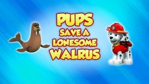 Poster for Pups Save a Lonesome Walrus