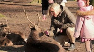 Poster for Episode 9 Poster for Episode 9