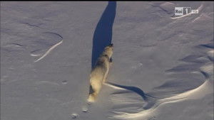 Poster for Episode 2 Poster for Episode 2