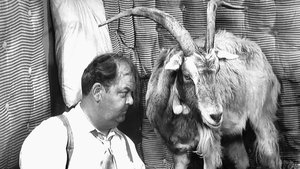 Poster for The Loaded Goat