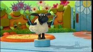 Poster for Timmy Rings The Bell