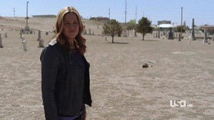 Poster for All's Well That Ends