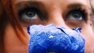 Poster for Episode 29