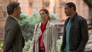 Poster for The Mystery of the Dysfunctional Dynasty