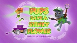 Poster for Pups Save a Stinky Flower