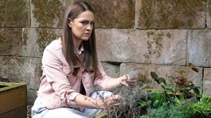 Poster for Wed 06 Aug 2025