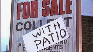 Poster for Love Me, Love My Tree.