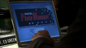 Poster for The Brotherhood