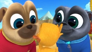 Poster for Duck, Duck, Dog