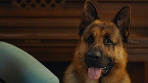 Poster for In From the Cold