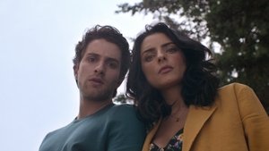 Poster for PANSY, (Symb. reflexion)