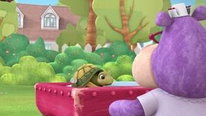 Poster for Shell Shy