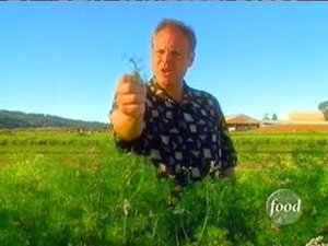 Poster for Herbal Preservation