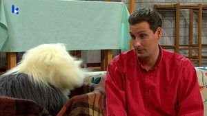 Poster for De vierling Poster for De vierling