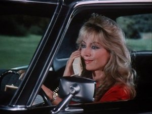 Poster for Twin Trouble