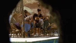 Poster for The Swimming Pool