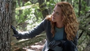 Poster for Poison in a Pear Tree (1)