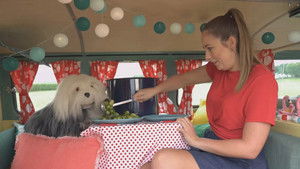 Poster for Episode 23