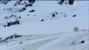 Poster for Episode 7 Poster for Episode 7