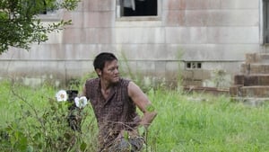 Poster for Cherokee Rose