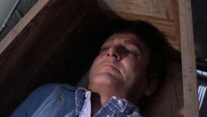 Poster for Bird of Prey (2)