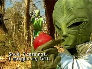 Poster for Fruit 10 from Outer Space (Pomegranates)