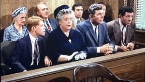 Poster for Aunt Bee, the Juror