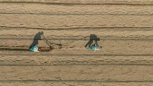 Poster for Cry and Rally