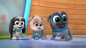 Poster for Welcome to Puppy Playcare!