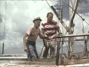 Poster for Flipper and the Fugitive (2) Poster for Flipper and the Fugitive (2)