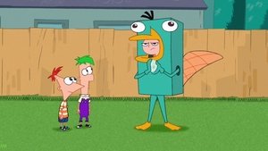 Poster for Perry Lays an Egg
