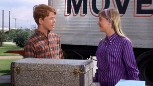 Poster for Opie and Mike