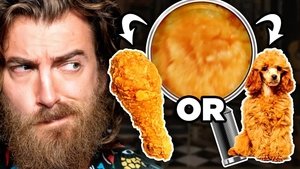 Poster for Spot The Fake Food Challenge