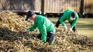 Poster for Leg 1 Poster for Leg 1