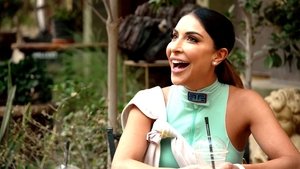 Poster for The V.V.I.P.