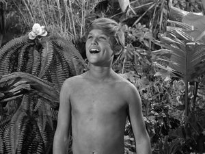 Poster for Gilligan Meets Jungle Boy