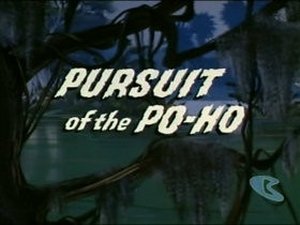 Poster for Pursuit of the Po-Ho