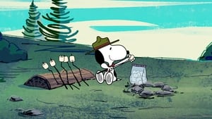 Poster for Beagle vs Bug / Camp Song