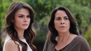 Poster for Episode 25 Poster for Episode 25