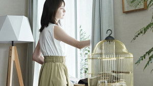 Poster for Episode 1