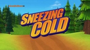 Poster for Sneezing Cold