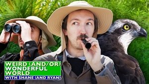 Poster for Shane & Ryan Go Birdwatching
