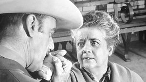 Poster for Aunt Bee's Medicine Man