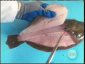 Poster for Flat is Beautiful III - Flounder