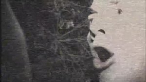 Poster for The Headless Witch in the Woods