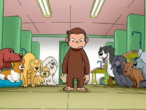 Poster for Curious George, Dog Counter