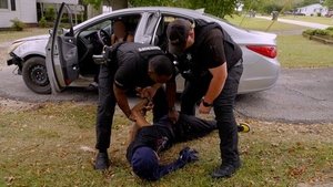 Poster for Bad day at the park